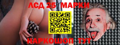 индика Чебаркуль