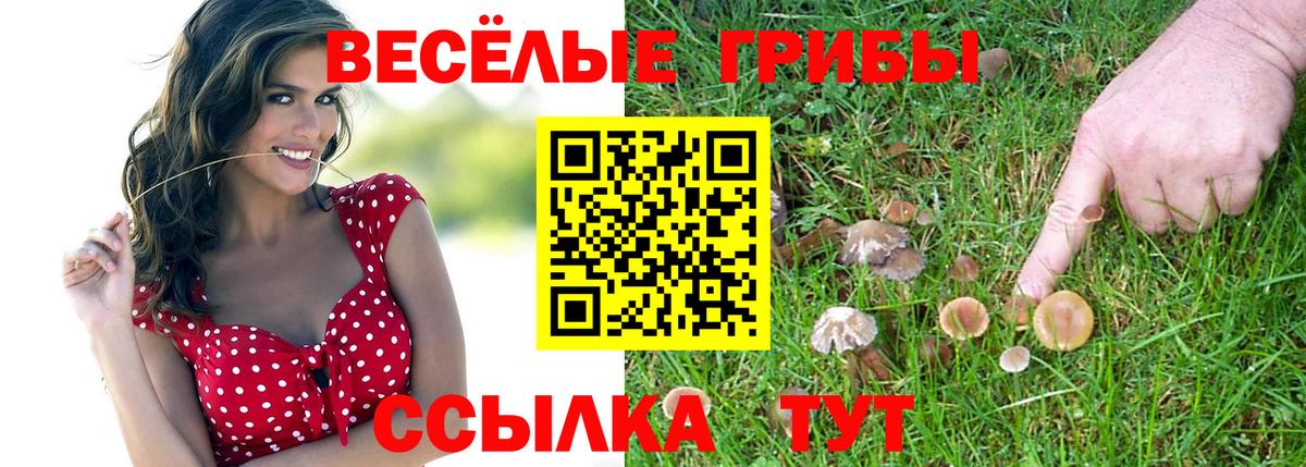 Псилоцибиновые грибы MAGIC MUSHROOMS Благодарный